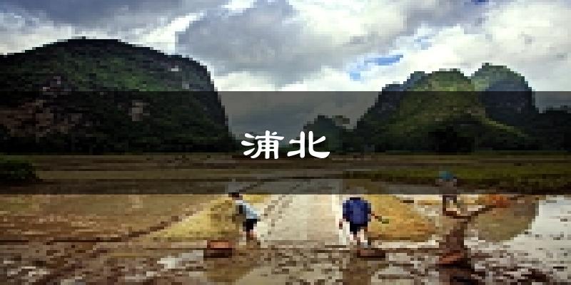 浦北天气预报未来一周