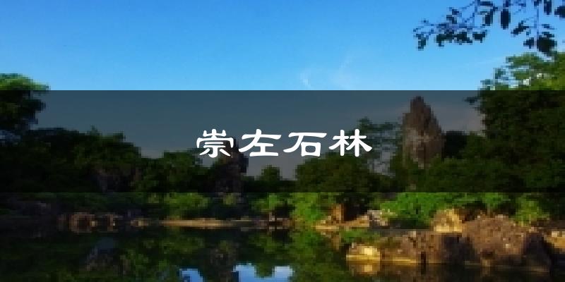 崇左石林今日天气