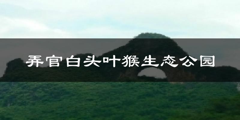 弄官白头叶猴生态公园今日天气