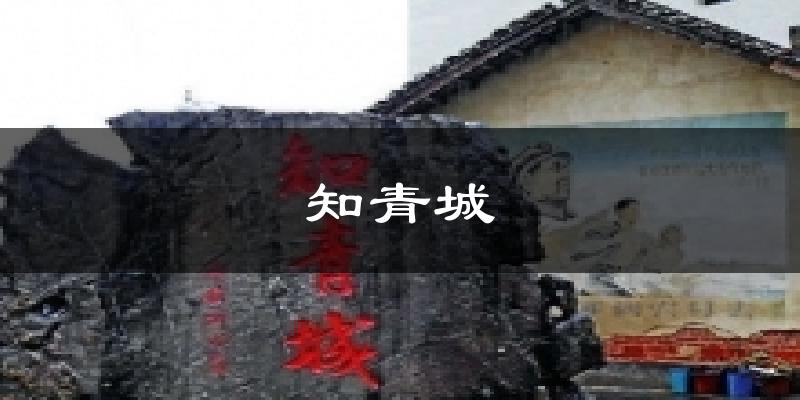 知青城今日天气