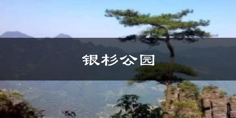银杉公园今日天气