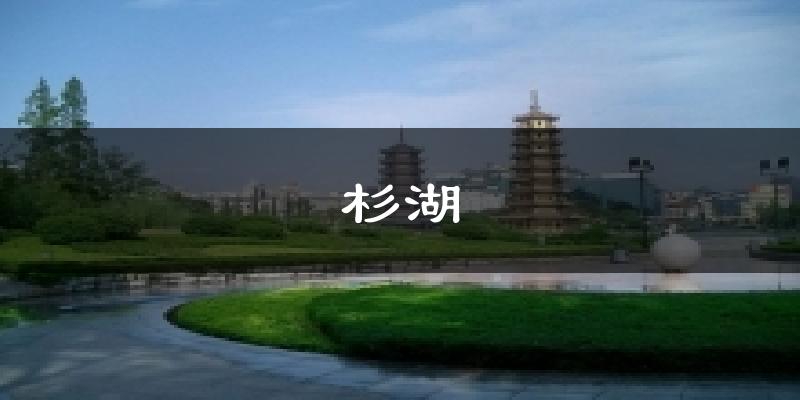 杉湖今日天气
