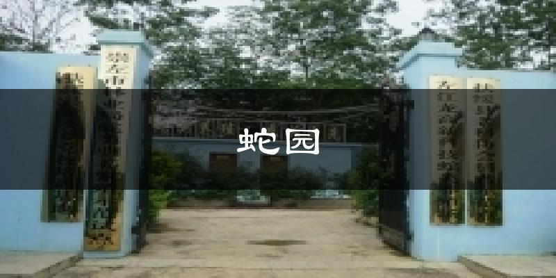 蛇园气温