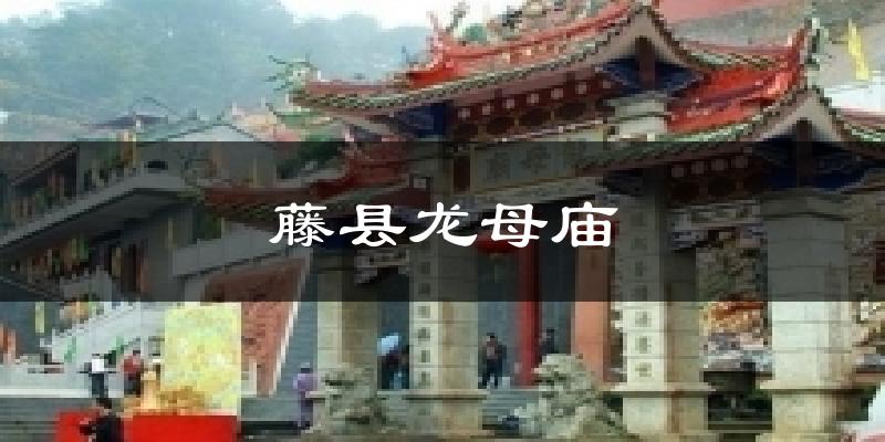 藤县龙母庙今日天气