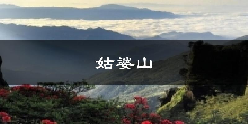 姑婆山气温