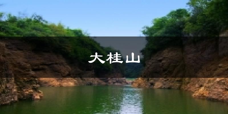 大桂山今日天气