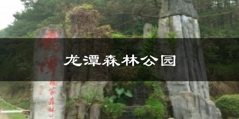 龙潭森林公园今日天气