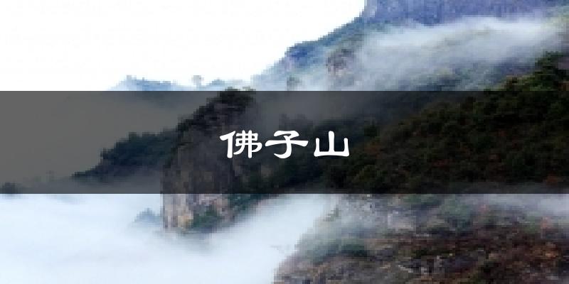 佛子山今日天气