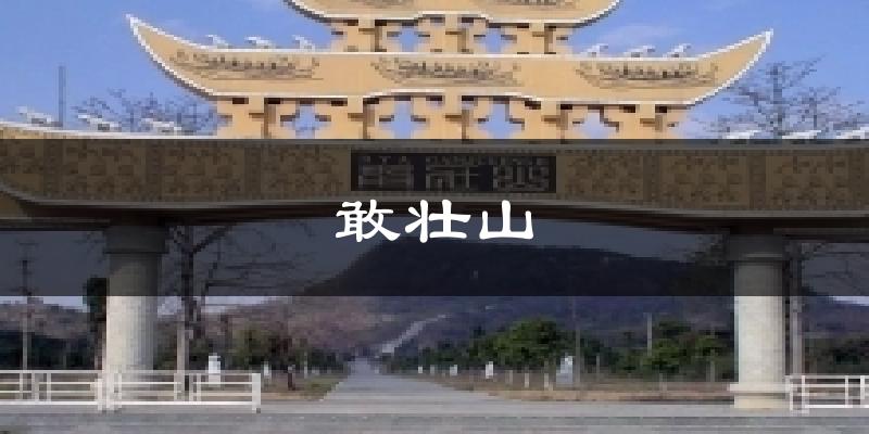 敢壮山今日天气