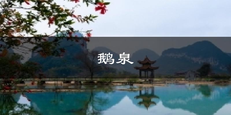 鹅泉今日天气
