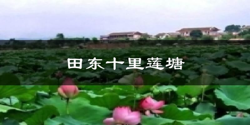 田东十里莲塘气温