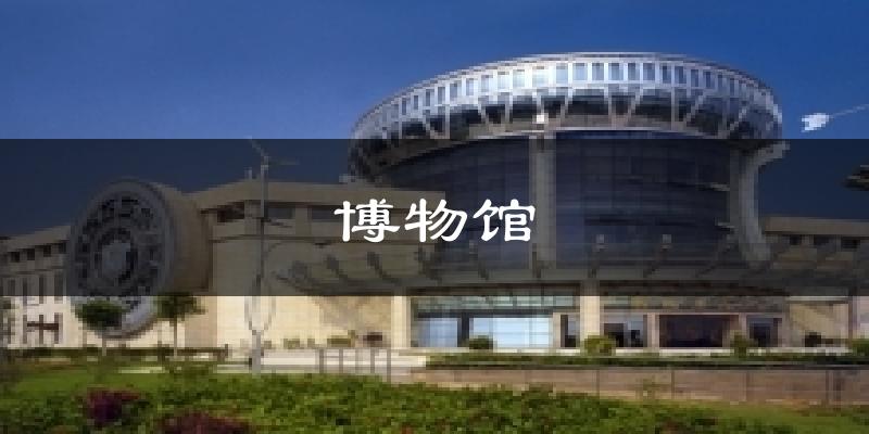 博物馆今日天气
