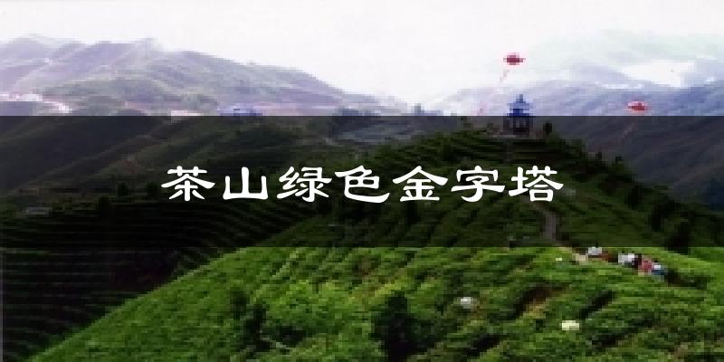 茶山绿色金字塔今日天气