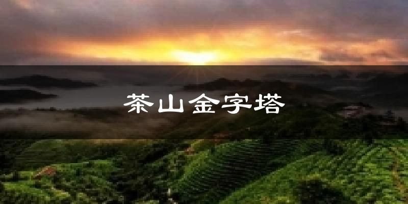 茶山金字塔气温