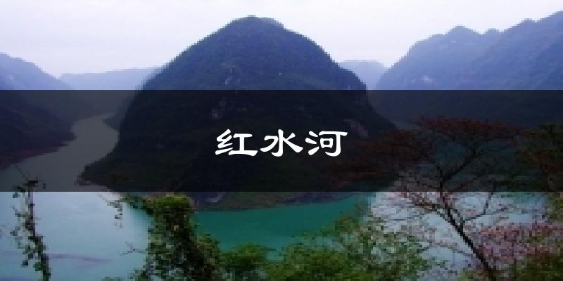 红水河今日天气