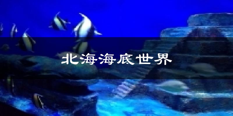 北海海底世界今日天气