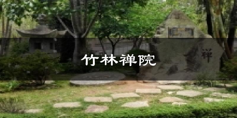 竹林禅院今日天气