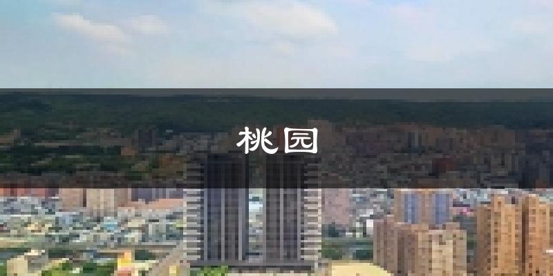 台湾桃园天气预报未来一周
