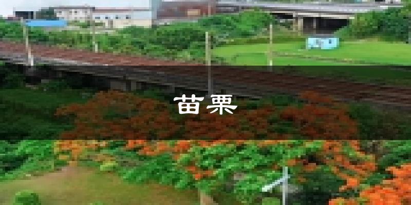 苗栗天气预报未来一周