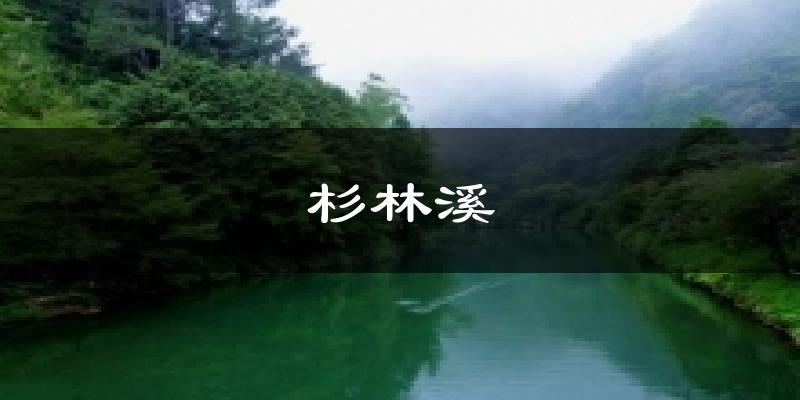 杉林溪气温